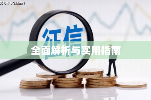 中卫全面解析与实用指南