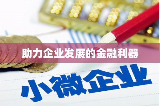 中卫助力企业发展的金融利器