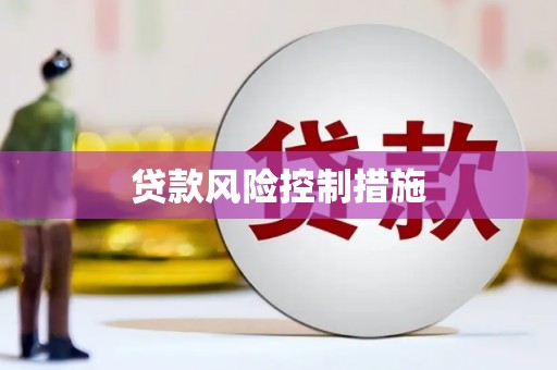 中卫贷款风险控制措施