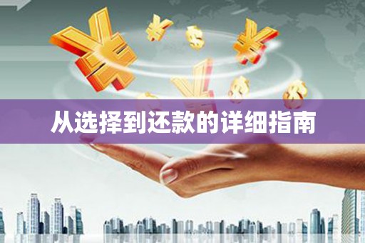 中卫从选择到还款的详细指南
