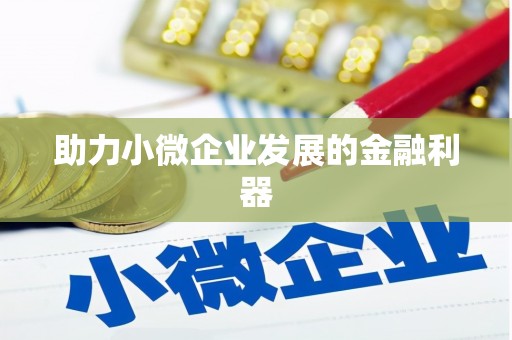 中卫助力小微企业发展的金融利器