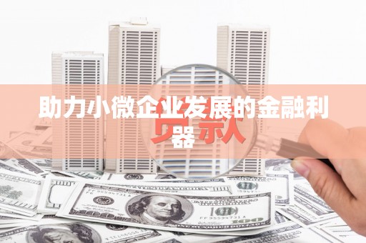 中卫助力小微企业发展的金融利器