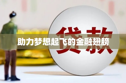 中卫助力梦想起飞的金融翅膀