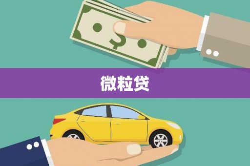 中卫微粒贷