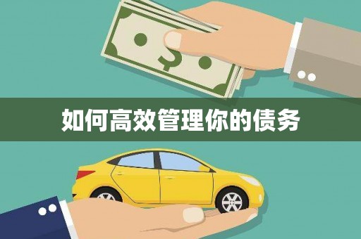 中卫如何高效管理你的债务