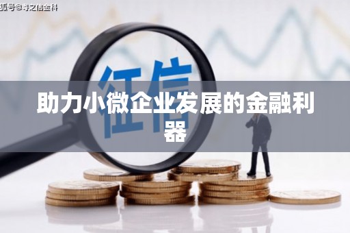 中卫助力小微企业发展的金融利器
