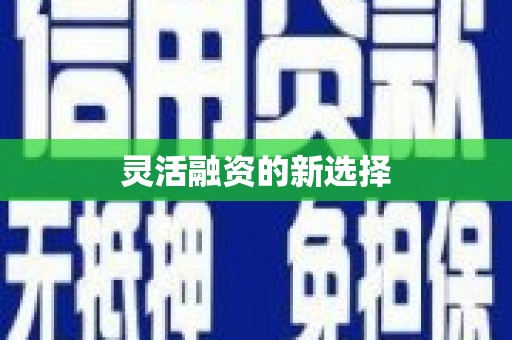 中卫灵活融资的新选择