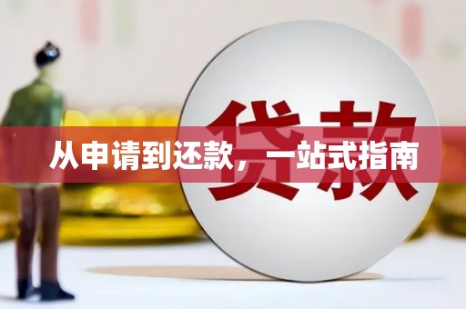 中卫从申请到还款，一站式指南