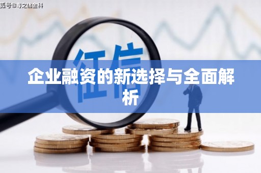 中卫企业融资的新选择与全面解析