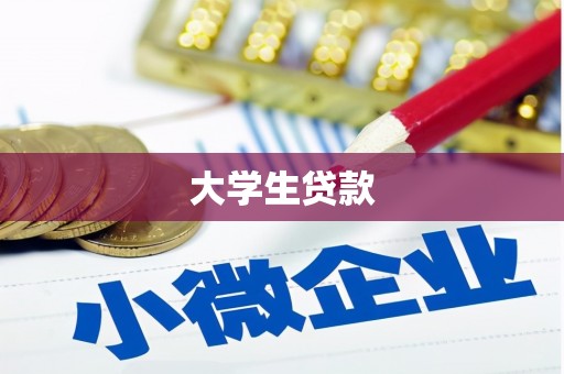 中卫大学生贷款