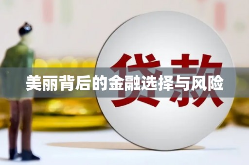 中卫美丽背后的金融选择与风险