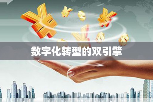 中卫数字化转型的双引擎