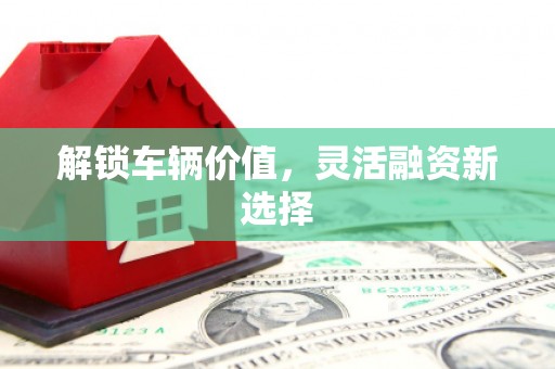 中卫解锁车辆价值，灵活融资新选择