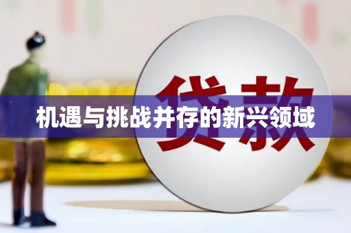 中卫机遇与挑战并存的新兴领域