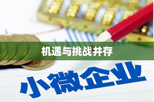中卫机遇与挑战并存