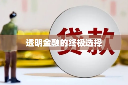 中卫透明金融的终极选择