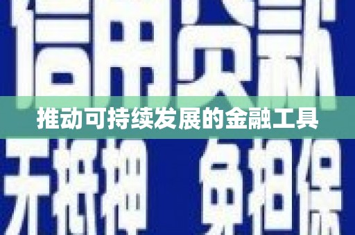 中卫推动可持续发展的金融工具