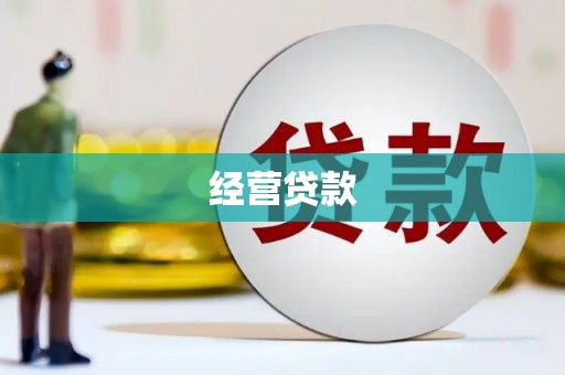 中卫经营贷款