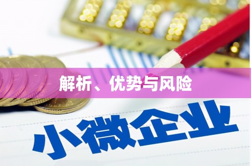 中卫解析、优势与风险