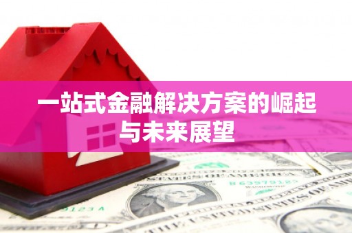 中卫一站式金融解决方案的崛起与未来展望