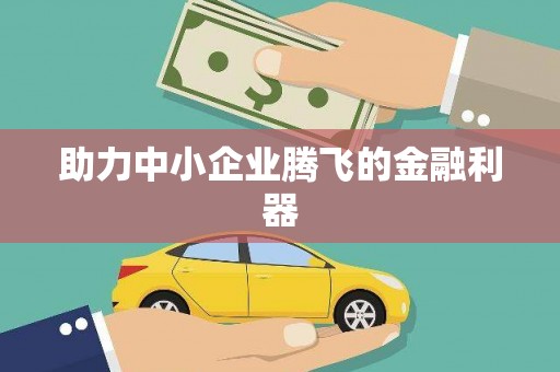 中卫助力中小企业腾飞的金融利器