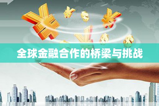 中卫全球金融合作的桥梁与挑战