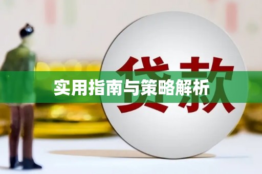 中卫实用指南与策略解析