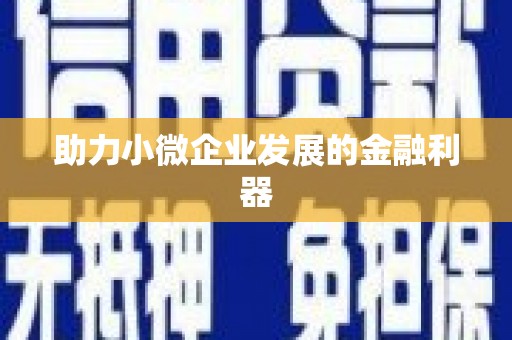 中卫助力小微企业发展的金融利器
