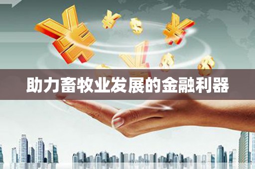 中卫助力畜牧业发展的金融利器