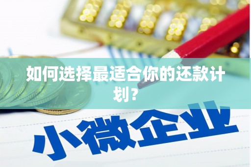 中卫如何选择最适合你的还款计划？