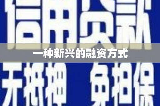 中卫一种新兴的融资方式