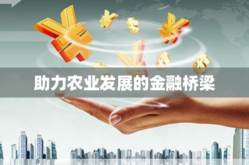 中卫助力农业发展的金融桥梁