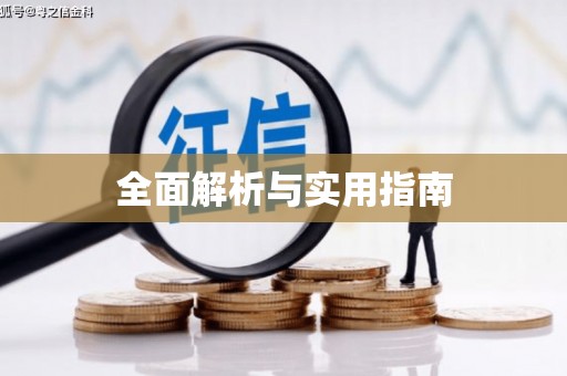 中卫全面解析与实用指南