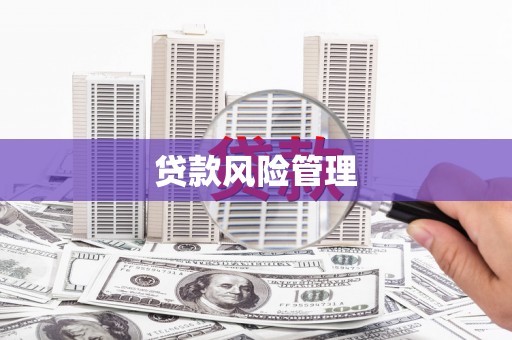 中卫贷款风险管理