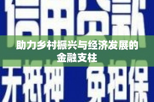 中卫助力乡村振兴与经济发展的金融支柱