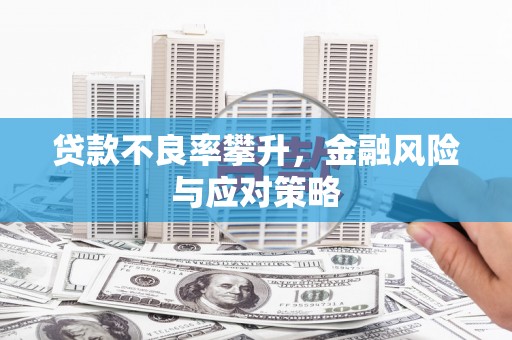 中卫贷款不良率攀升，金融风险与应对策略