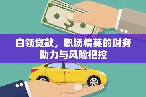 中卫白领贷款，职场精英的财务助力与风险把控